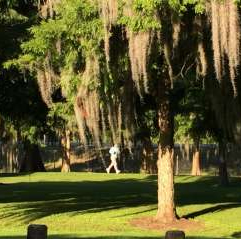 Walking Trails